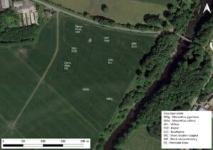 Ayr Site Plan