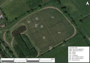 BGI Site Plan