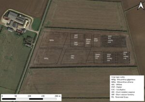 Headley Hall Site Plan
