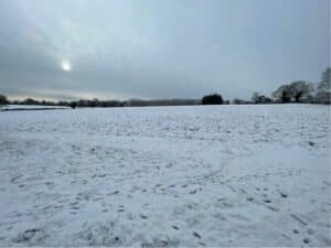 Cultivated site at BGI, Chesham under snow (December 2022)