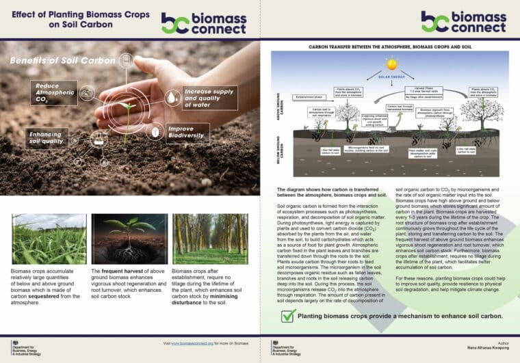 Effects of Biomass Crops on Soil Carbon - Screenshot of Factsheet