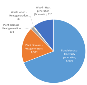 Solid Biomass used for energy generation 2020 – 2021 in thousand tonnes of oil equivalent (DUKES, 2022)