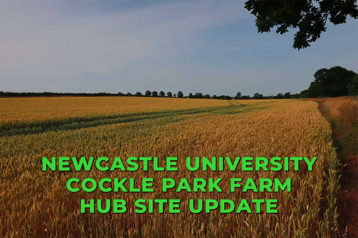 Newcastle University Hub Site Update