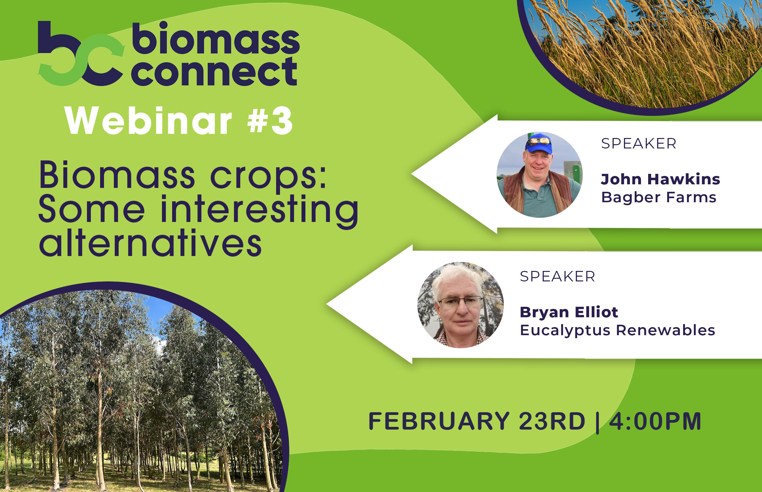 Webinar 3 - Interesting alternative Biomass Crops
