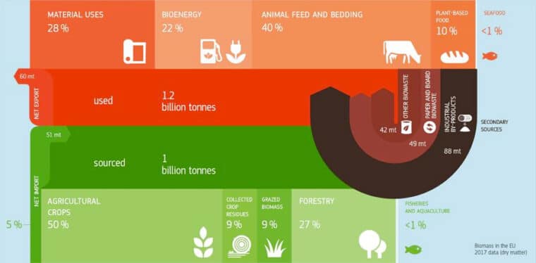 Biomass Supply and Uses Infographic