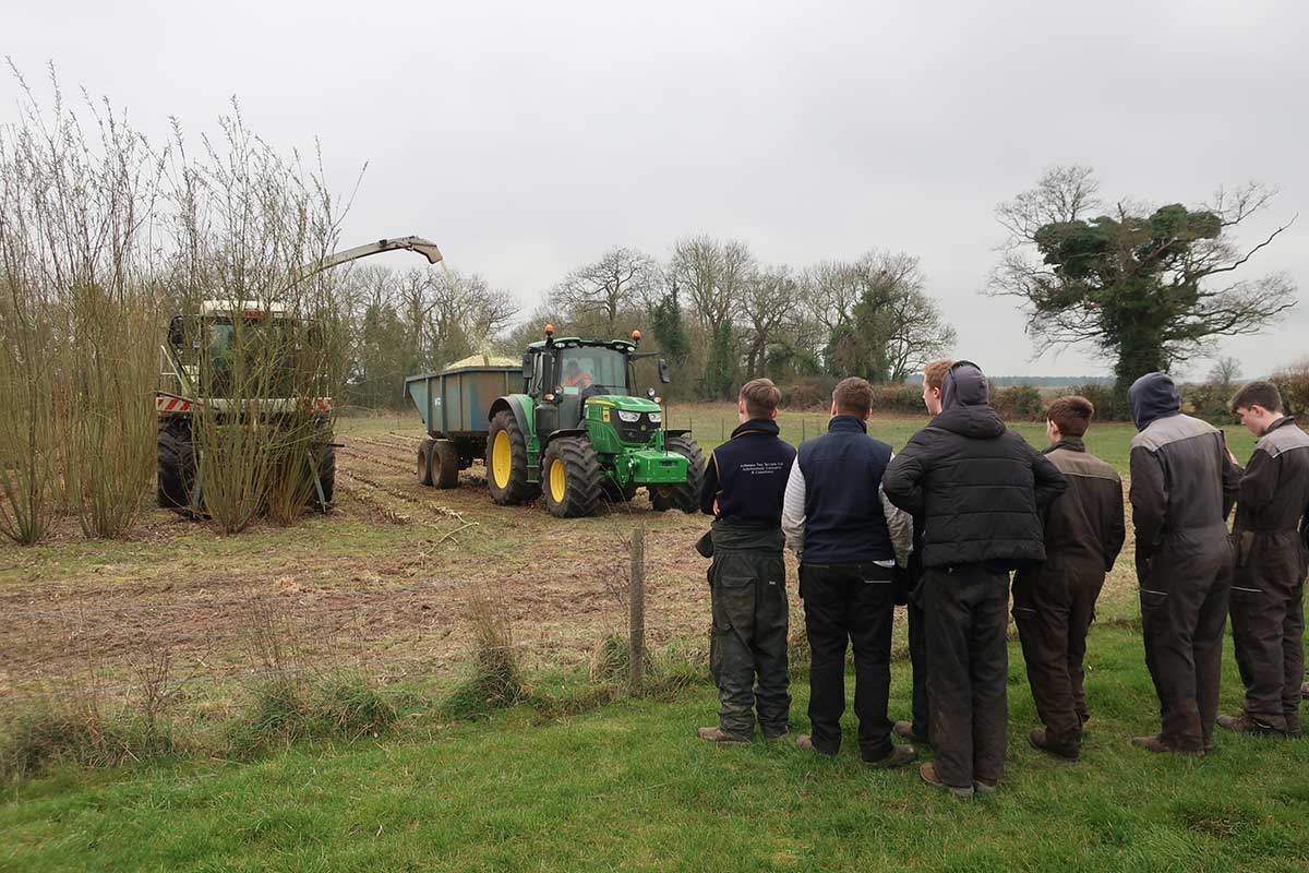 Cutting Willow Guard Rows with Claas Jaguar at Easton College