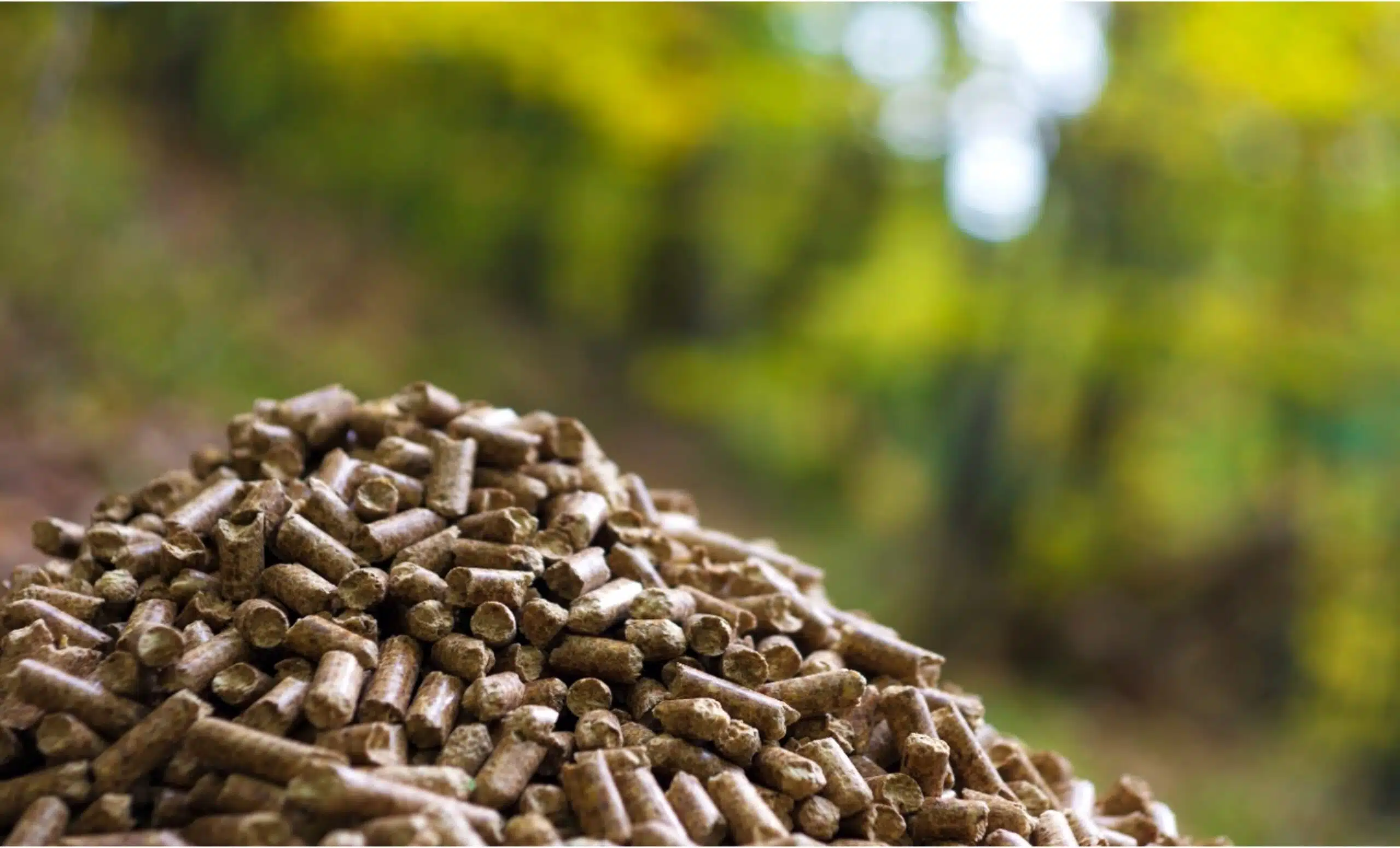 A small pile of biomass pellets with oiut of focus vegetation in the background
