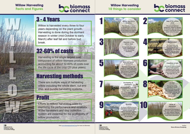 Willow Harvesting Factsheet