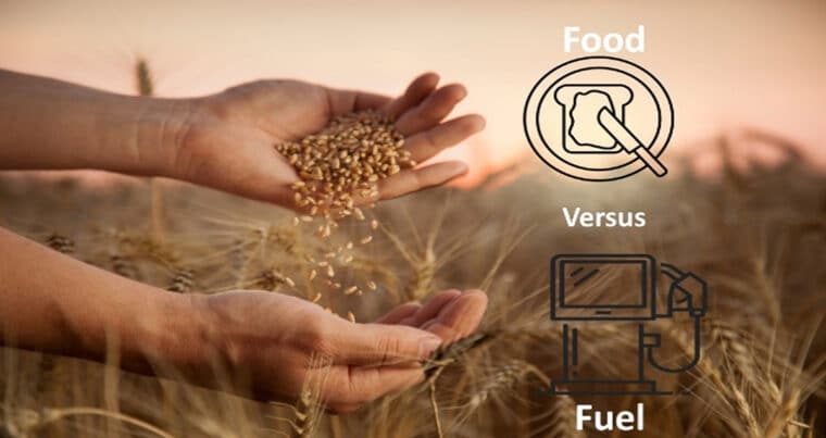 Food vs Fuel