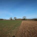 BGI looking north. The divide between plough for Miscanthus and WW for woody species