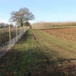 Deer proof fence completed and evidence of hedge cutting 2