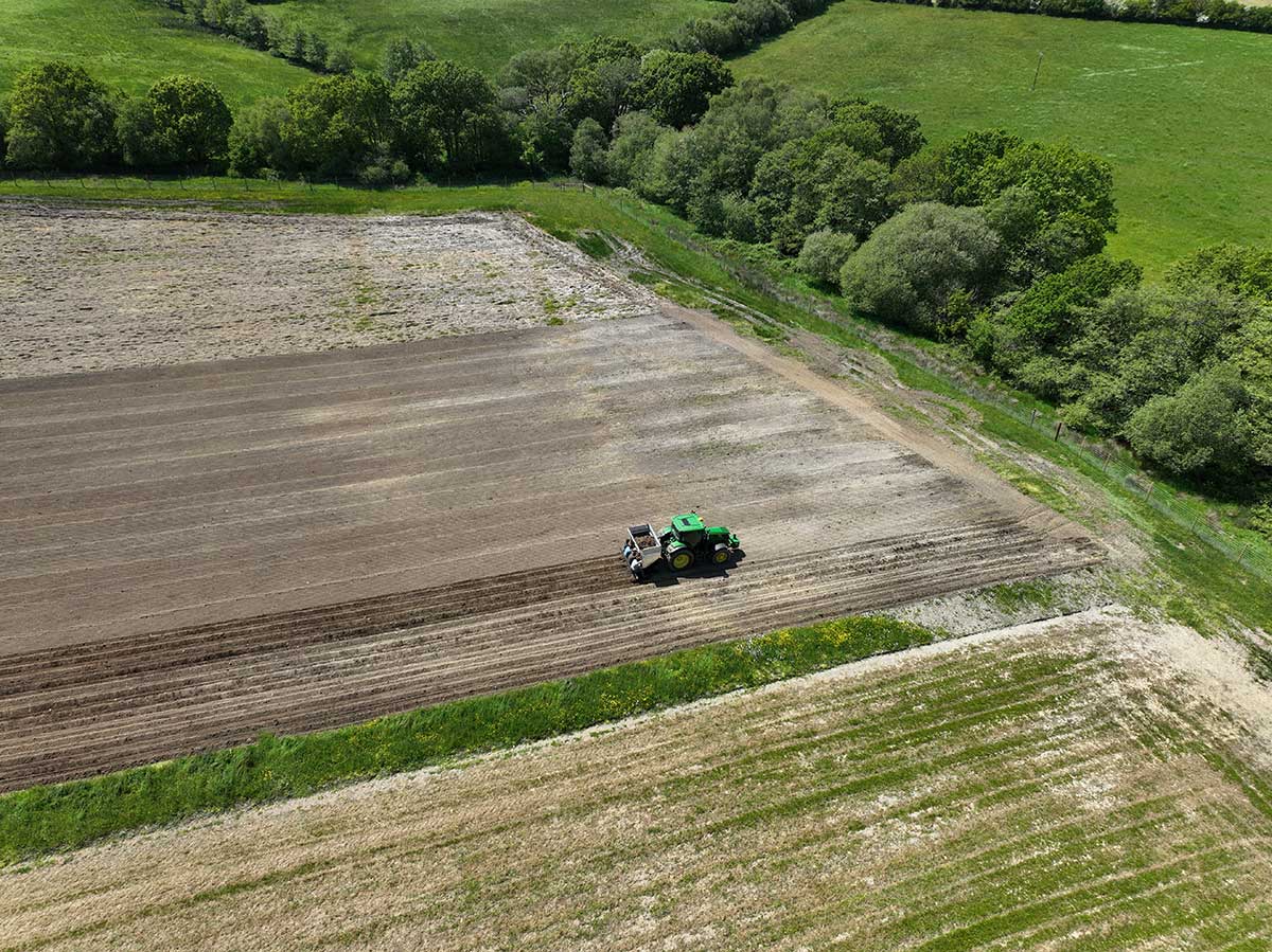 Drone shot of Miscanthus Nurseries Planting at North Wyke May 2023