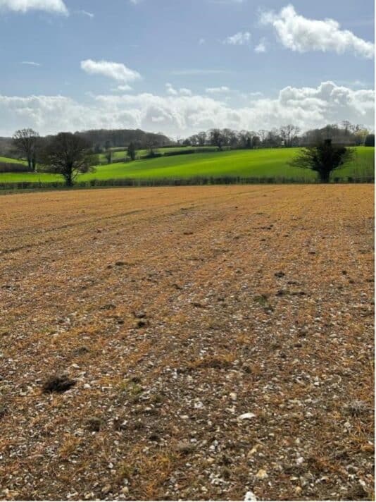 BGI 30th March - glyphosate application on 4th March worked well
