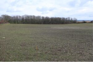 Site still very wet in March 2023