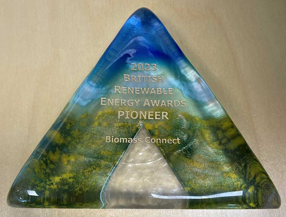 The Pioneer Award