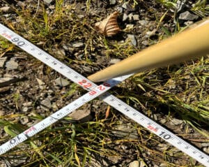 Marking out plots for planting