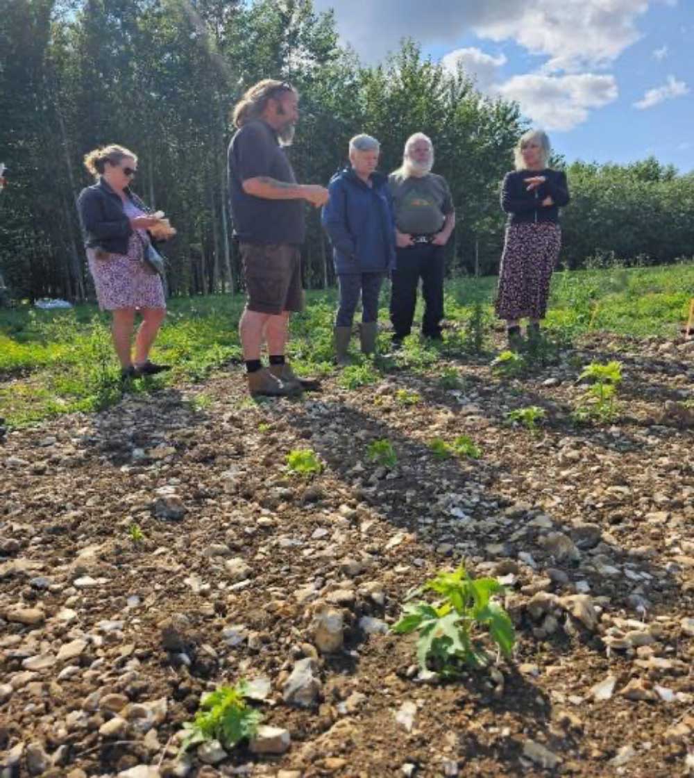 Councillors visited and toured the BGI Hub Plantation with a group of 5 other interested parties from ‘Sustainable Chesham’ who are very interested in Biomass for District Heating…. Photo also shows the Sida coming up