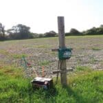 Electric fence to deter Rabbit grazing on SRC Poplar