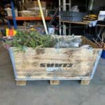 Eucalyptus plants and Sida Rhizomes about to be boxed in and sent to AFBI.