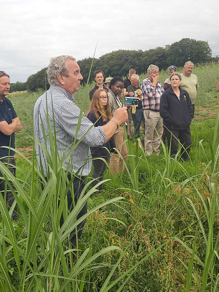 Mike Cooper's discussion around Miscanthus