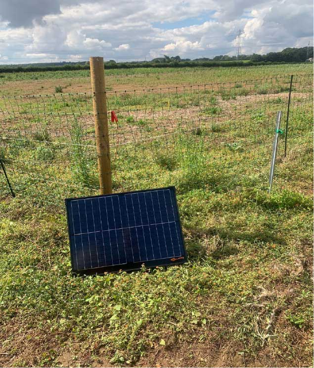 Solar powered Electric fence installed around the site.