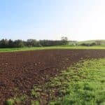 Ground prepared for Grass Seed sow
