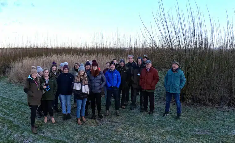 Exploring IBERs' newly established biomass hub site plots.