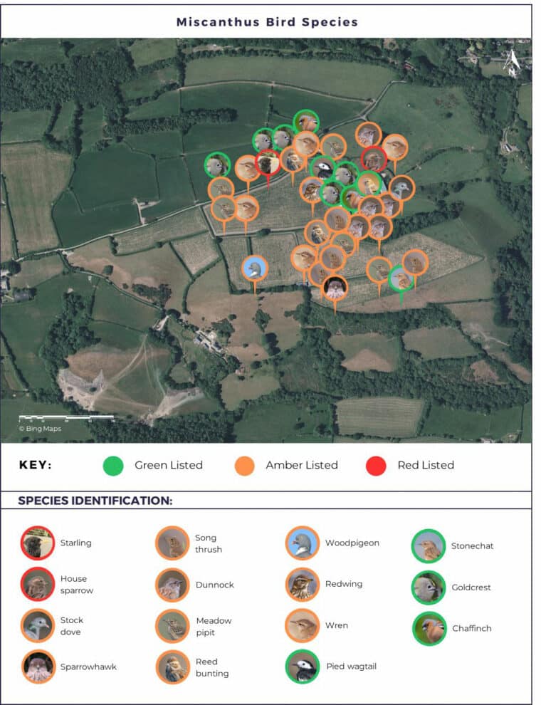 Figure 2: A map showing where a selection of bird species was seen or heard at Langaller Farm (miscanthus crop). Red = red listed; orange = amber listed; green = green listed.