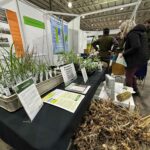 Crop display on the Biomass Connect Stand at LCA 2024