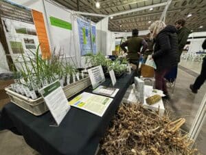 Crop display on the Biomass Connect Stand at LCA 2024