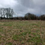 SRF Poplar
