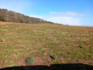 SRC Poplar at Boghall, March 2024