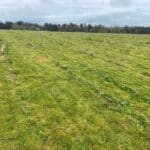 SRC Willow Var. Trial