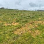 SRC Willow Var. Trial