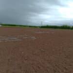 2024 Miscanthus variety trial