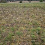 Solar Electric Fencing
