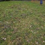 Solar electric fencing erected, AB8 Nectar Stewardship mix coming up