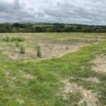 2023 Miscanthus Variety Trial