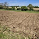 Ploughed and ready for planting Miscanthus Athena rhizomes. Ploughed up and down rather than across this time