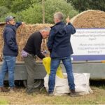 Baled and chipped Miscanthus on display