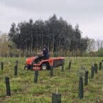 Grass Cutting at BGI Hub in between the Eucalyptus plot
