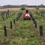 Mowing the grass at BGI Hub between the Eucalyptus plot