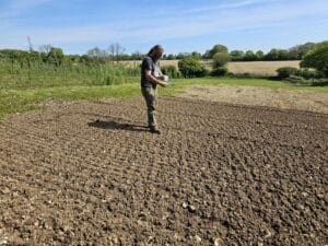 Broadcasting Silphium seeds
