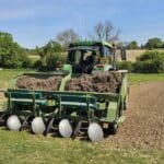 Miscanthus Athena Rhizomes ready for planting.