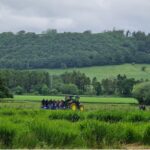 Plot Tours