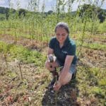 Planting the Willow rods, just removed yellow line tape.