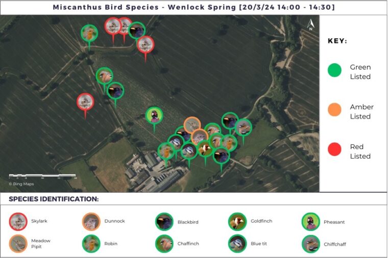 Figure 4: A map showing where a selection of bird species was seen or heard at Wenlock Spring (Miscanthus crop). Red = red listed; orange = amber listed; green = green listed.