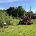 Willow Planter