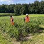 2023 Miscanthus Variety Trial