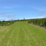 Grass Surrounds